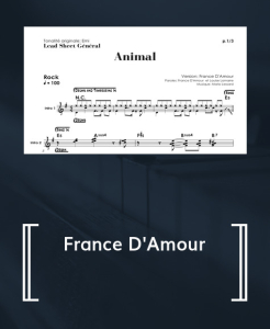 Animal