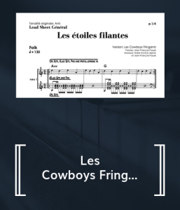 Les étoiles filantes